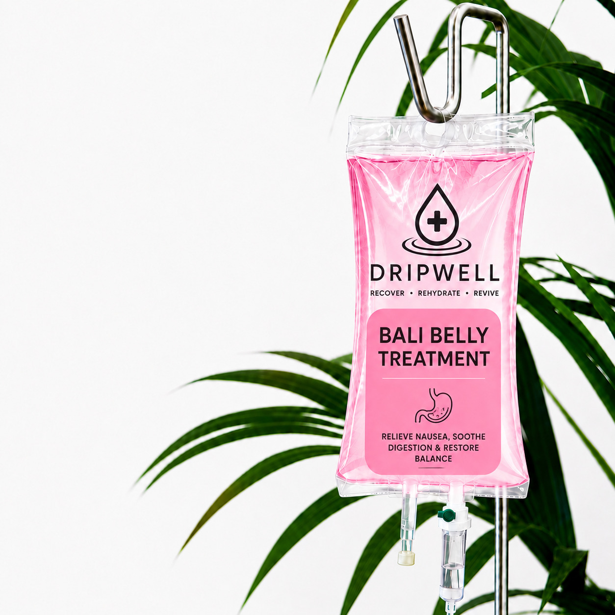 Bali Belly Recovery and Treatment Guide